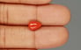 Italian Red Coral - 1.84 Carat Limited Quality CC-5751