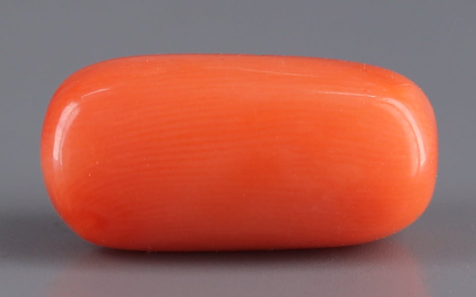Italian Red Coral - 10.07 Carat Limited Quality CC-5556 