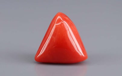 Italian Red Coral - 10.12 Carat Limited Quality TC-5414