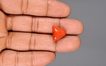 Italian Red Coral - 10.16 Carat Limited Quality TC-5131