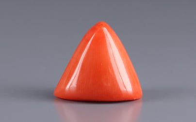 Italian Red Coral - 10.16 Carat Limited Quality TC-5131