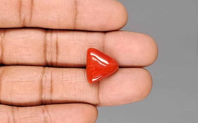 Italian Red Coral - 10.37 Carat Rare Quality TC-5427