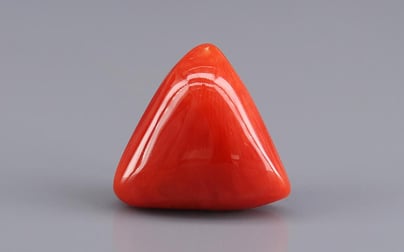 Italian Red Coral - 10.37 Carat Rare Quality TC-5427