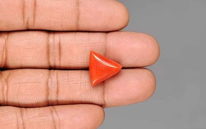 Italian Red Coral - 10.65 Carat Rare Quality TC-5452