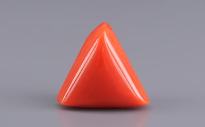 Italian Red Coral - 10.65 Carat Rare Quality TC-5452