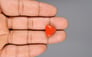 Italian Red Coral - 10.85 Carat Rare Quality TC-5133