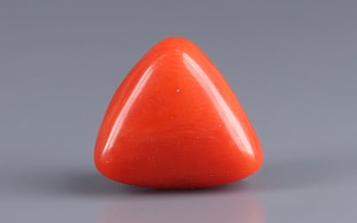 Italian Red Coral - 10.85 Carat Rare Quality TC-5133