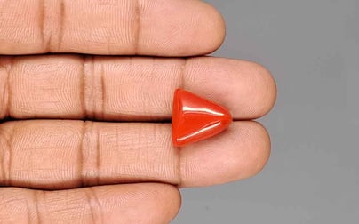 Italian Red Coral - 11.05 Carat Rare Quality TC-5421