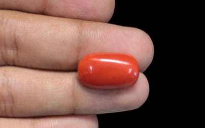 Italian Red Coral - 11.1 Carat Rare Quality CC-5655