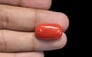 Italian Red Coral - 11.1 Carat Rare Quality CC-5655