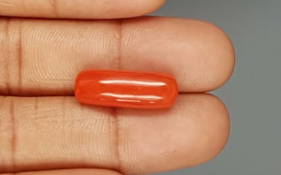 Italian Red Coral - 11.19 Carat Limited Quality CC-5720