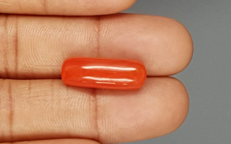 Italian Red Coral - 11.19 Carat Limited Quality CC-5720