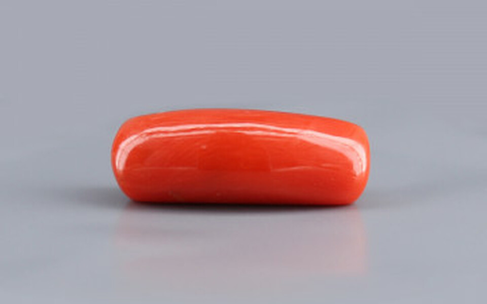 Italian Red Coral - 11.19 Carat Limited Quality CC-5720