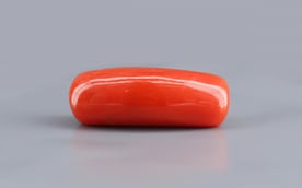 Italian Red Coral - 11.19 Carat Limited Quality CC-5720