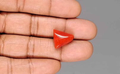 Italian Red Coral - 11.33 Carat Limited Quality TC-5451