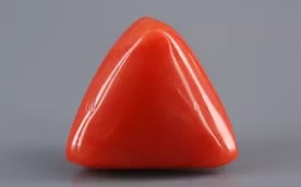 Italian Red Coral - 11.37 Carat Limited Quality TC-5326