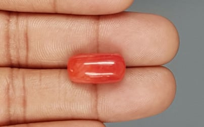 Italian Red Coral - 11.52 Carat Rare Quality CC 5719