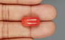 Italian Red Coral - 11.52 Carat Rare Quality CC 5719