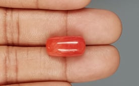 Italian Red Coral - 11.52 Carat Rare Quality CC 5719