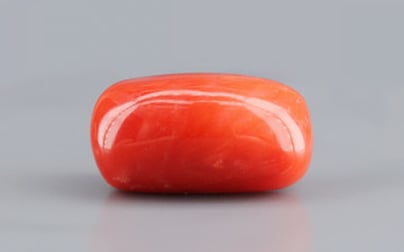 Italian Red Coral - 11.52 Carat Rare Quality CC 5719