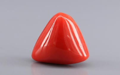 Italian Red Coral - 11.52 Carat Rare Quality TC-5447