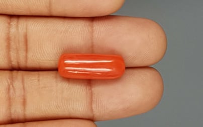 Italian Red Coral - 11.74 Carat Limited Quality CC 5715