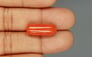 Italian Red Coral - 11.74 Carat Limited Quality CC 5715