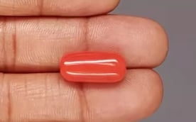 Italian Red Coral - 11.91 Carat Prime Quality CC-5857