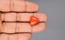 Italian Red Coral - 12.16 Carat Limited Quality TC-5064