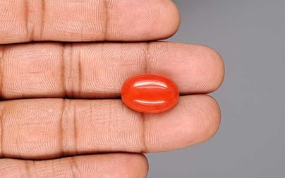 Italian Red Coral - 12.29 Carat Rare Quality CC-5940