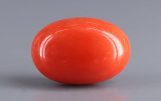 Italian Red Coral - 12.29 Carat Rare Quality CC-5940