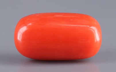 Italian Red Coral - 12.46 Carat Rare Quality CC-5657