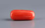 Italian Red Coral - 12.84 Carat Prime Quality CC-5855