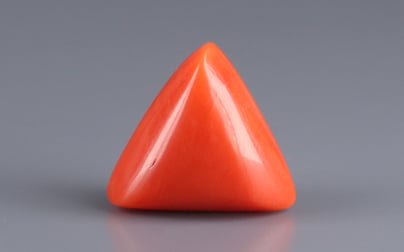 Italian Red Coral - 13.00 Carat Limited Quality TC-5063