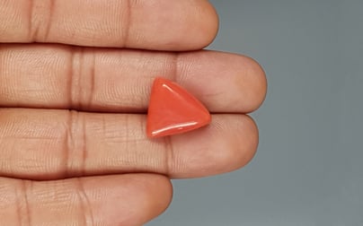 Italian Red Coral - 13.12 Carat Limited Quality TC-5325