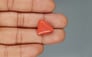 Italian Red Coral - 13.12 Carat Limited Quality TC-5325