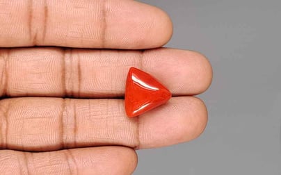 Italian Red Coral - 13.30 Carat Prime Quality TC-5449