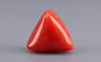 Italian Red Coral - 13.30 Carat Prime Quality TC-5449