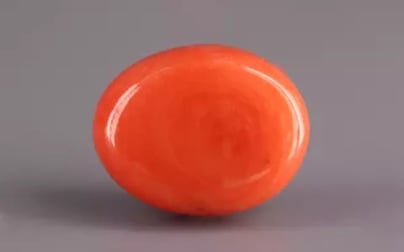 Italian Red Coral - 13.66 Carat Rare Quality CC-5869