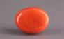 Italian Red Coral - 13.66 Carat Rare Quality CC-5869