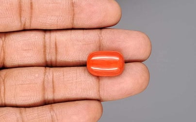 Italian Red Coral - 13.87 Carat Limited Quality CC-5943