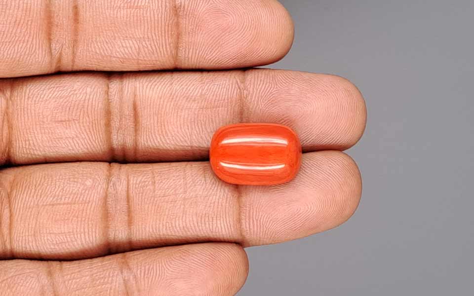 Italian Red Coral - 13.87 Carat Limited Quality CC-5943