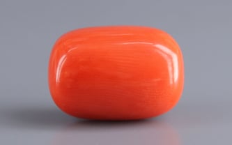 Italian Red Coral - 13.87 Carat Limited Quality CC-5943