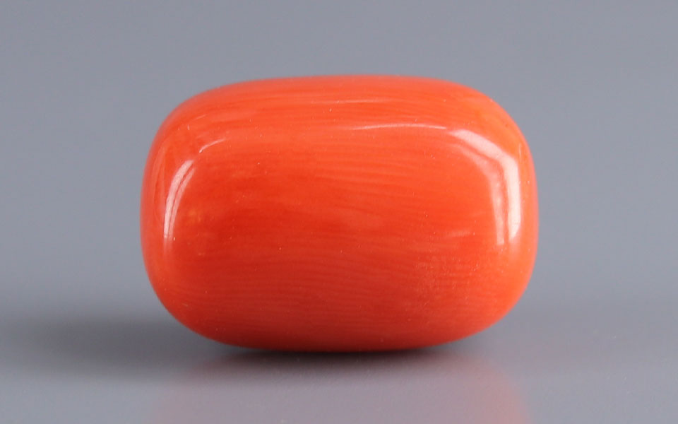 Italian Red Coral - 13.87 Carat Limited Quality CC-5943
