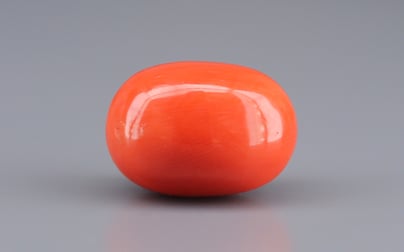Italian Red Coral - 14.41 Carat Rare Quality CC-5909