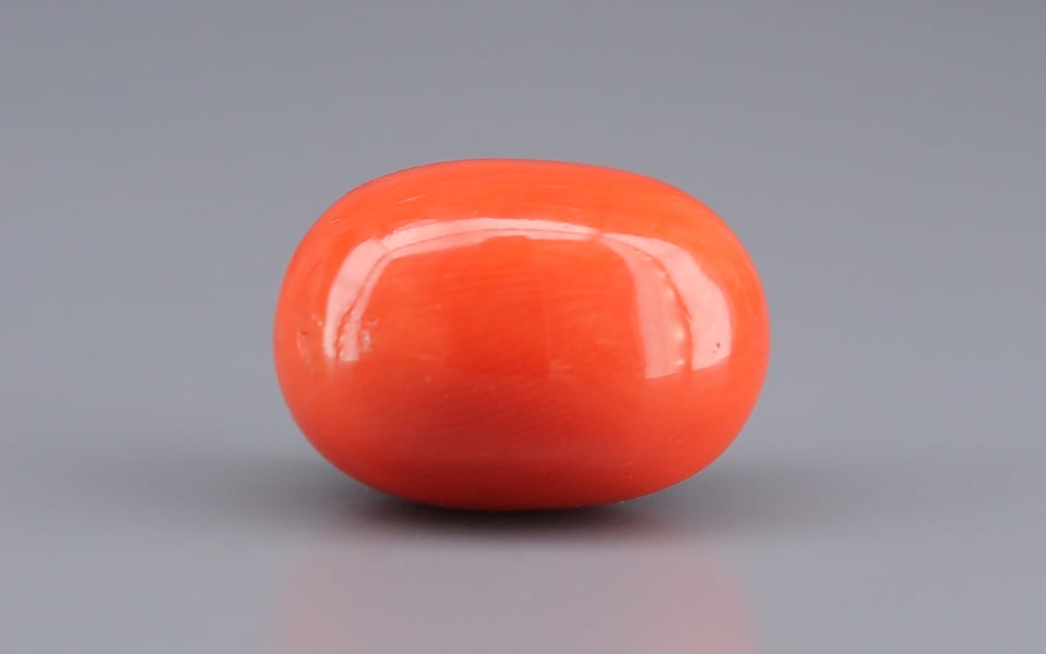 Italian Red Coral - 14.41 Carat Rare Quality CC-5909