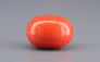 Italian Red Coral - 14.41 Carat Rare Quality CC-5909