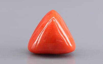 Italian Red Coral - 15.30 Carat Rare Quality TC-5450