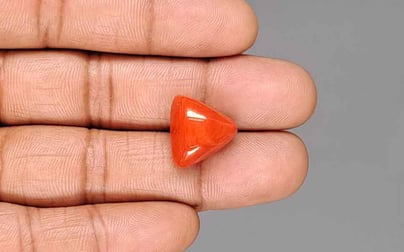 Italian Red Coral - 15.30 Carat Rare Quality TC-5450