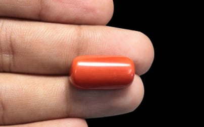 Italian Red Coral - 15.95 Carat Rare Quality CC-5658